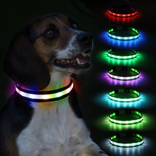 Hundehalsbånd med multifarvet og blinkende lys